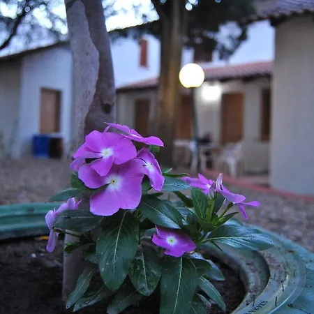 Camping B&B Gioiosa Gioiosa Marea