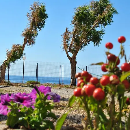Camping B&B Gioiosa