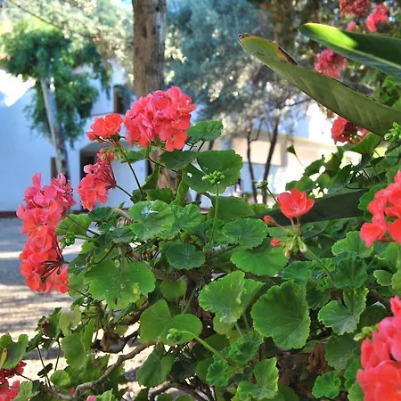 Camping B&B Gioiosa Gioiosa Marea
