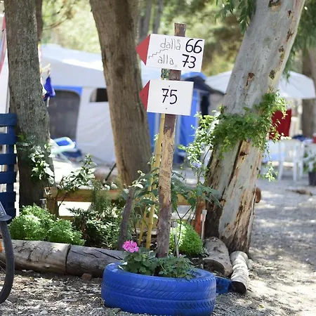 Camping B&B Gioiosa