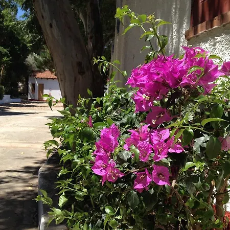 Campeggio Camping B&B Gioiosa 3*