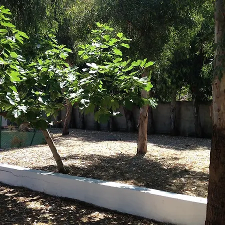 Campeggio Camping B&B Gioiosa 3*