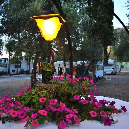 Camping Camping B&B Gioiosa 3*