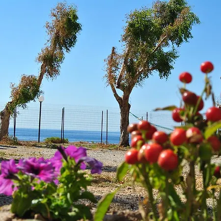 Camping B&B Gioiosa