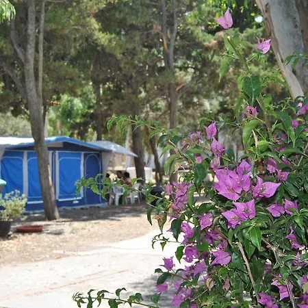 Campsite Camping B&B Gioiosa Gioiosa Marea