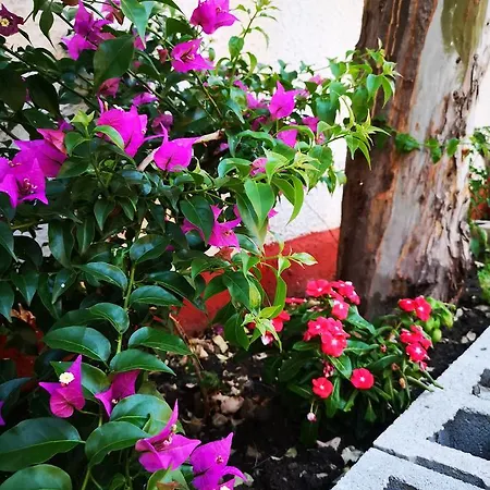 Camping B&B Gioiosa 3*